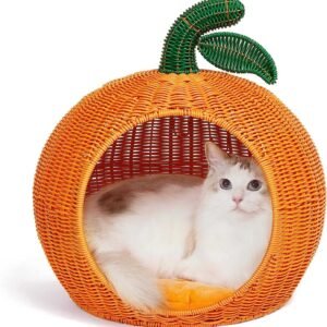 109 01