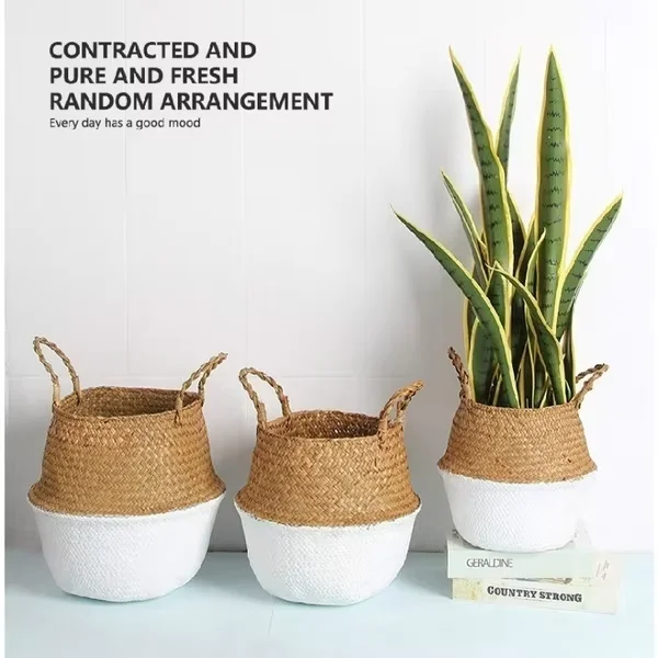 1564 04 1564 04